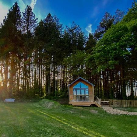 Cabin In The Woods - 1 Bedroom Lodge - Kilgetty Stepaside  Exterior photo