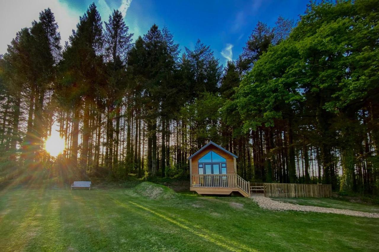 Cabin In The Woods - 1 Bedroom Lodge - Kilgetty Stepaside  Exterior photo