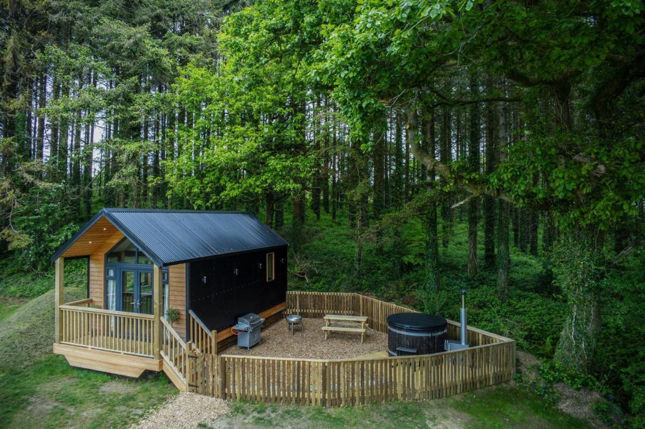 Cabin In The Woods - 1 Bedroom Lodge - Kilgetty Stepaside  Exterior photo