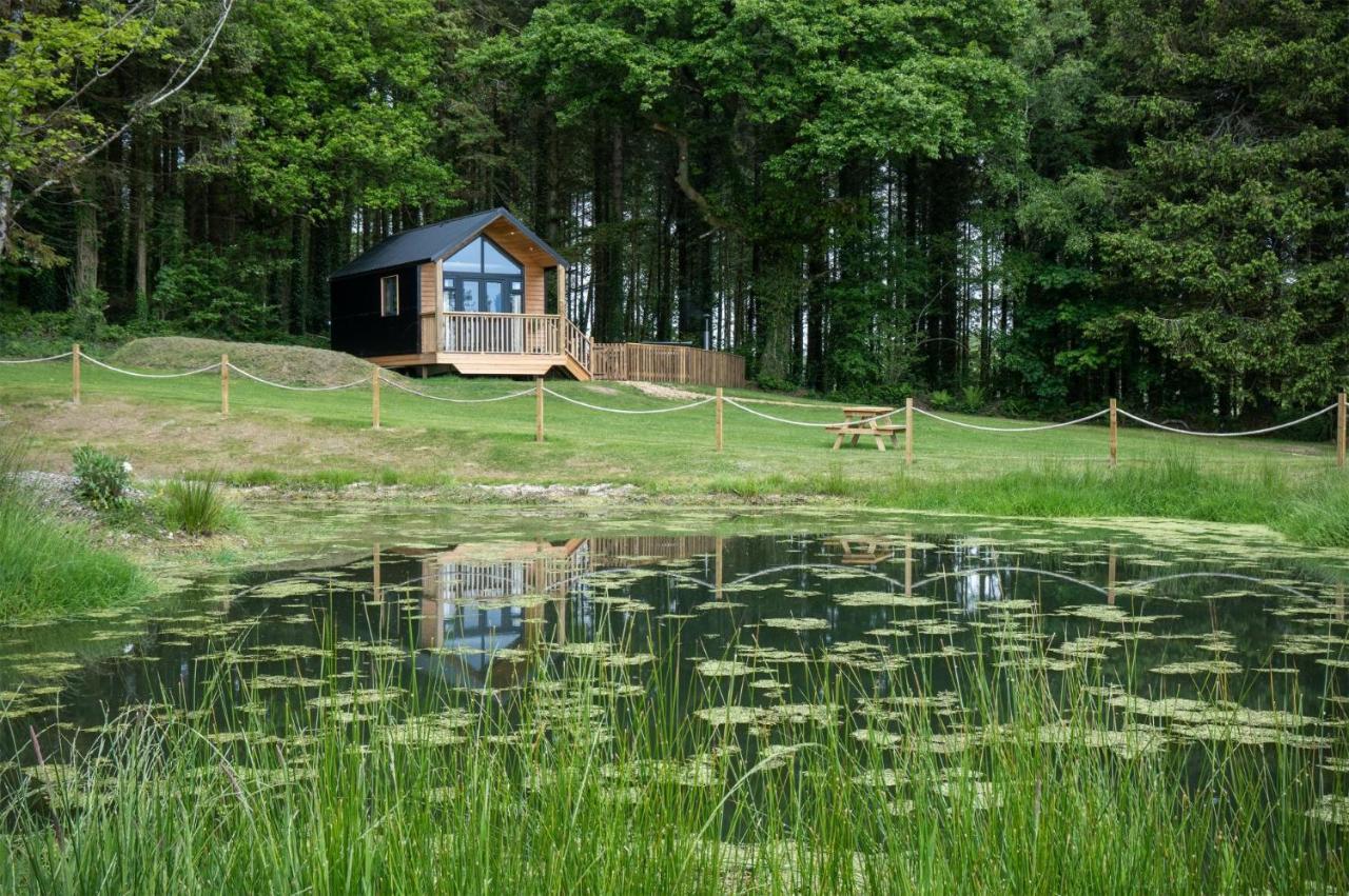Cabin In The Woods - 1 Bedroom Lodge - Kilgetty Stepaside  Exterior photo