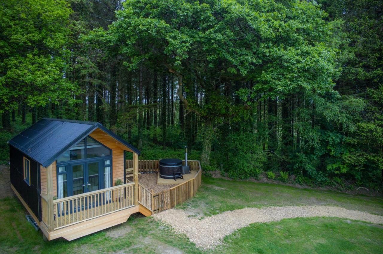 Cabin In The Woods - 1 Bedroom Lodge - Kilgetty Stepaside  Exterior photo