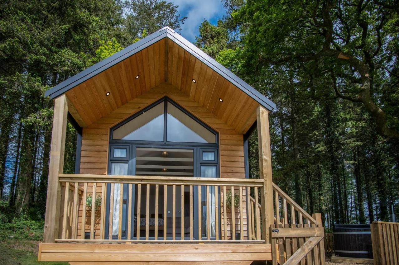 Cabin In The Woods - 1 Bedroom Lodge - Kilgetty Stepaside  Exterior photo