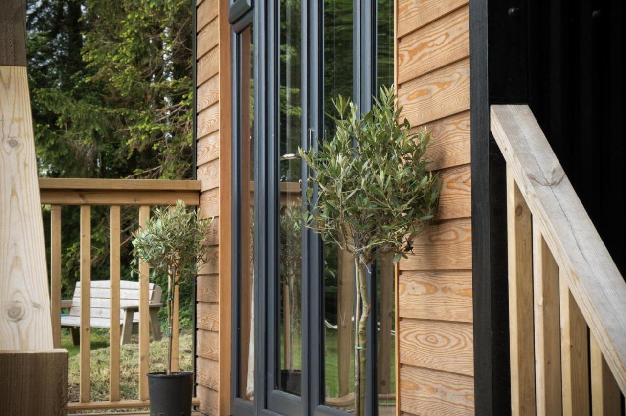 Cabin In The Woods - 1 Bedroom Lodge - Kilgetty Stepaside  Exterior photo