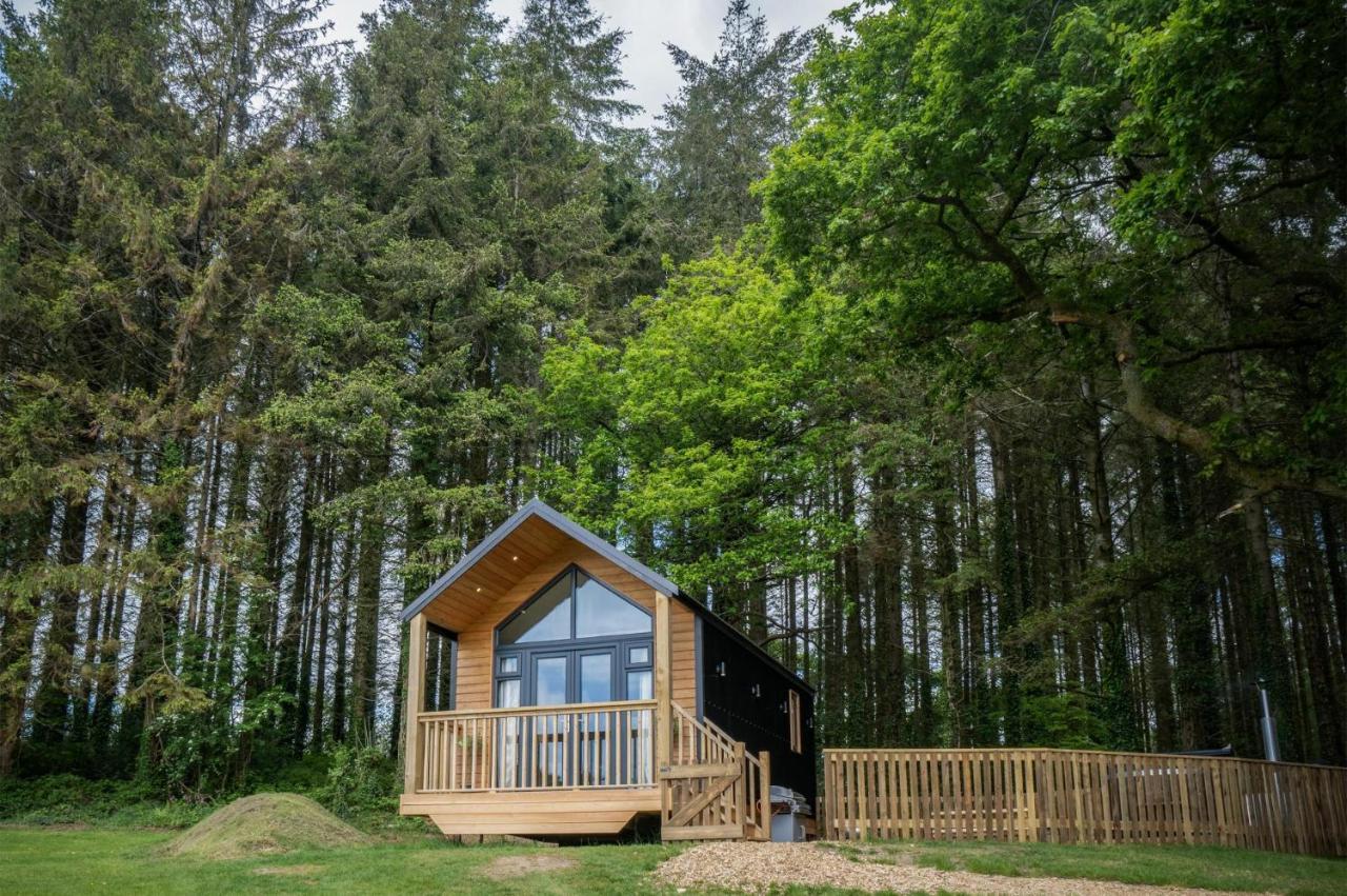 Cabin In The Woods - 1 Bedroom Lodge - Kilgetty Stepaside  Exterior photo