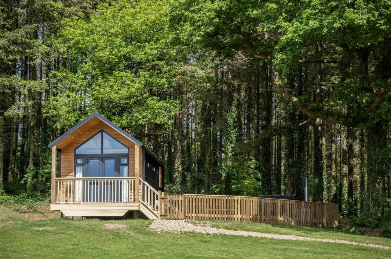 Cabin In The Woods - 1 Bedroom Lodge - Kilgetty Stepaside  Exterior photo