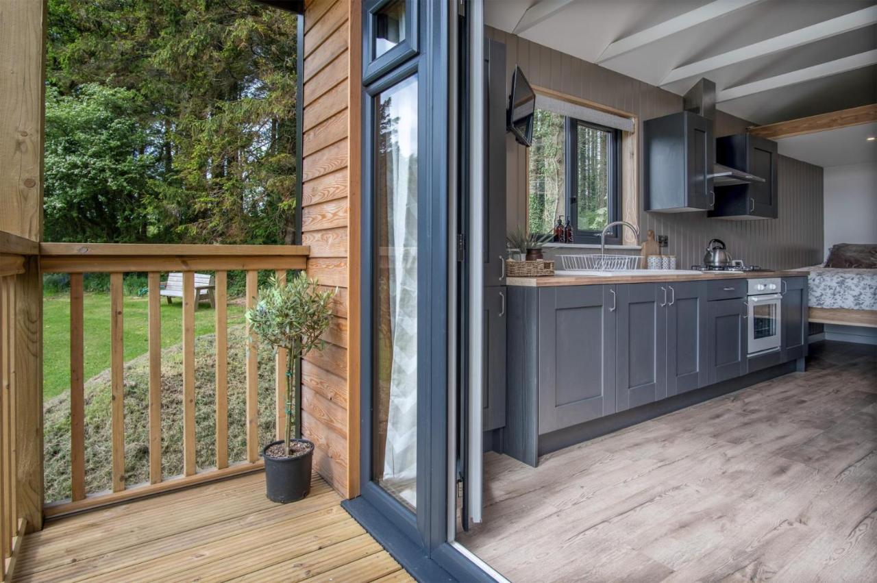 Cabin In The Woods - 1 Bedroom Lodge - Kilgetty Stepaside  Exterior photo
