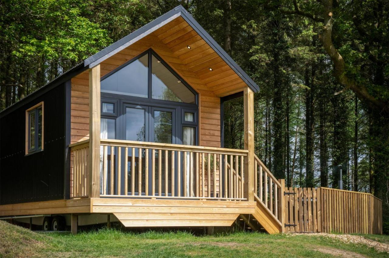 Cabin In The Woods - 1 Bedroom Lodge - Kilgetty Stepaside  Exterior photo