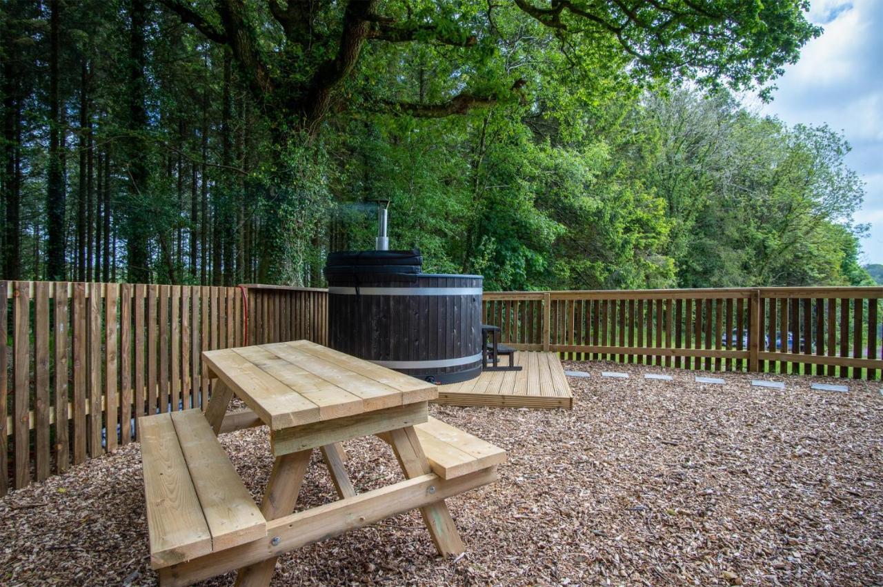 Cabin In The Woods - 1 Bedroom Lodge - Kilgetty Stepaside  Exterior photo