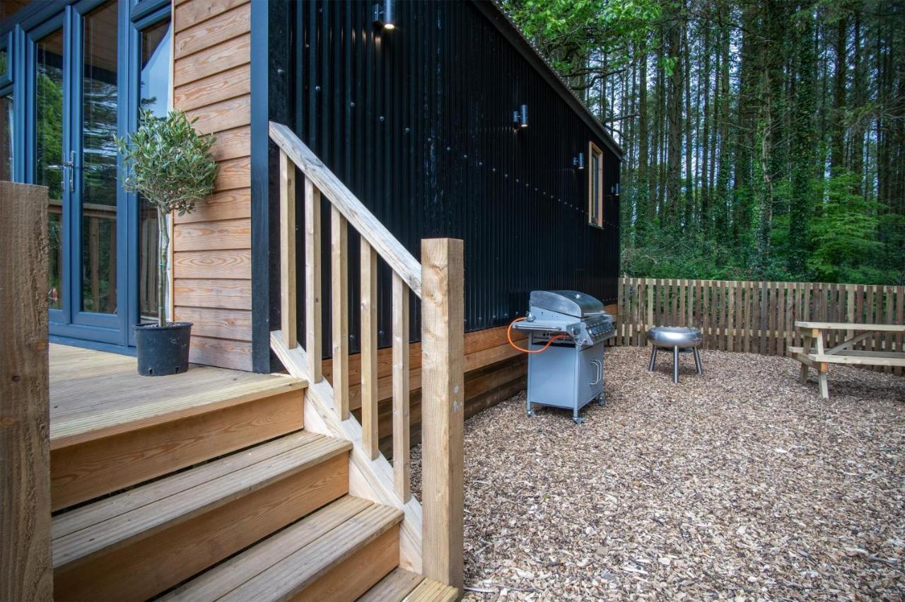 Cabin In The Woods - 1 Bedroom Lodge - Kilgetty Stepaside  Exterior photo