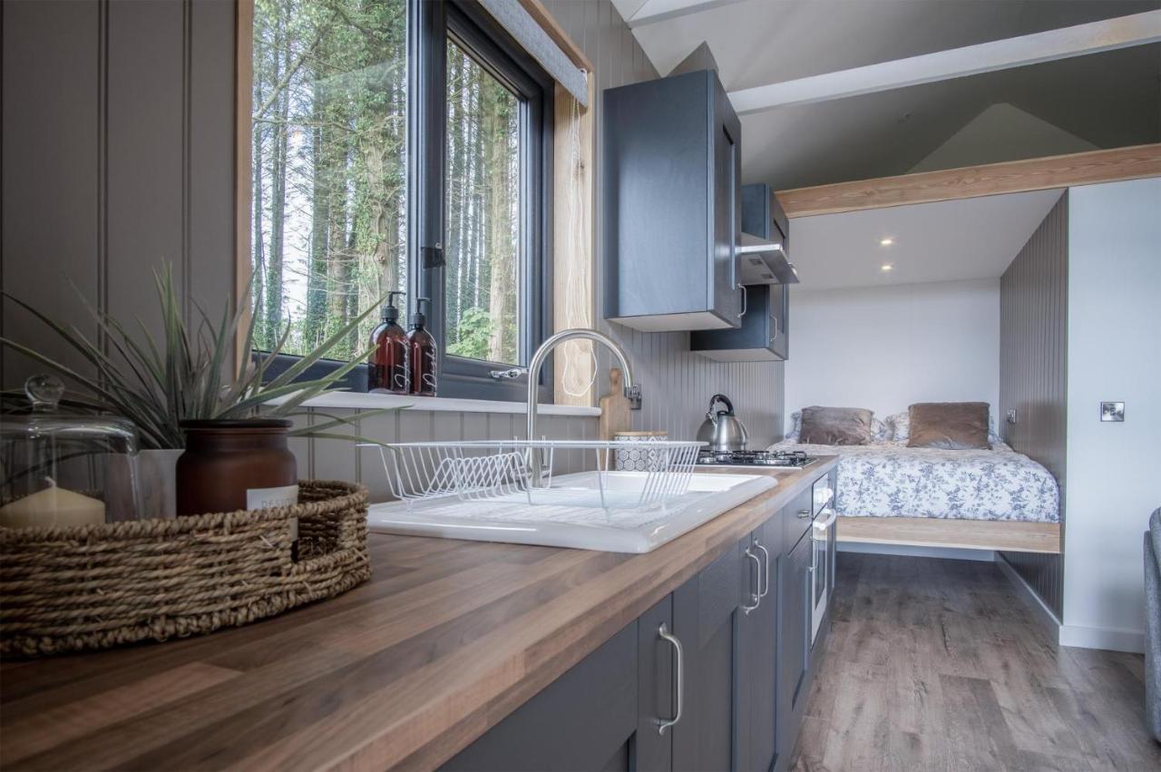Cabin In The Woods - 1 Bedroom Lodge - Kilgetty Stepaside  Exterior photo
